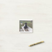 doberman pincher zittend post-it® notes (Op bureau)