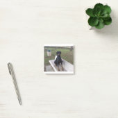 doberman pincher zittend post-it® notes (Kantoor)