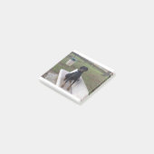 doberman pincher zittend post-it® notes (Schuin)