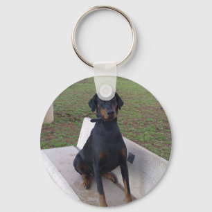 doberman pincher zittend sleutelhanger