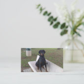 doberman pincher zittend visitekaartje (Staand voorkant)