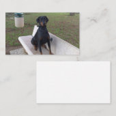 doberman pincher zittend visitekaartje (Voorkant / Achterkant)