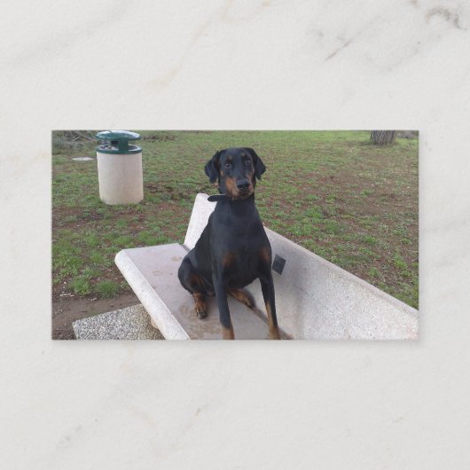 doberman pincher zittend visitekaartje (Voorkant)