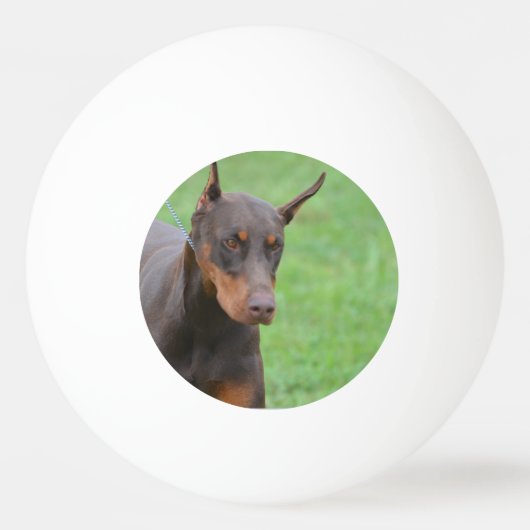 Doberman Pingpongbal (Voorkant)