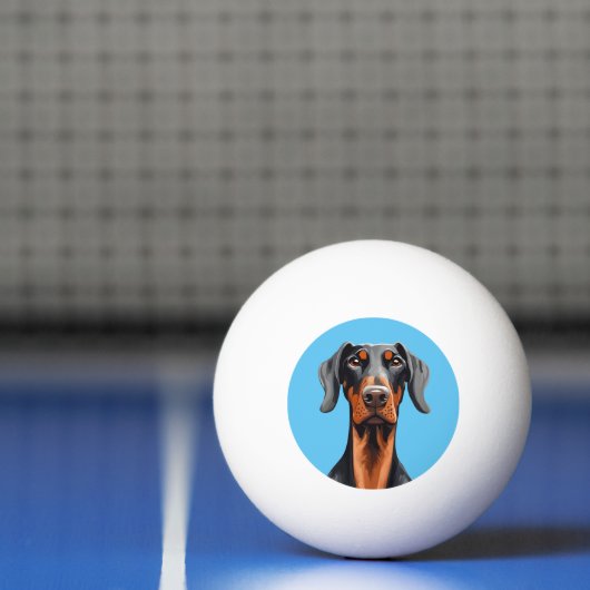 Doberman Pingpongbal (Net)