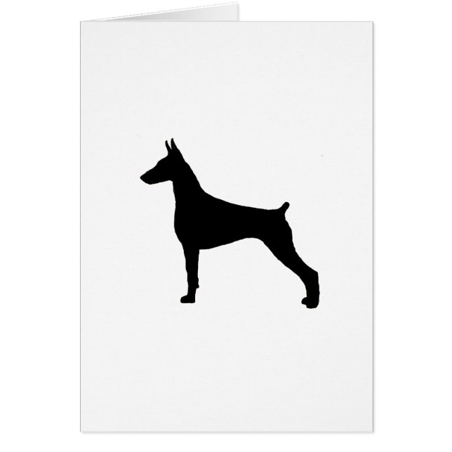 doberman pinscher (Voorkant)