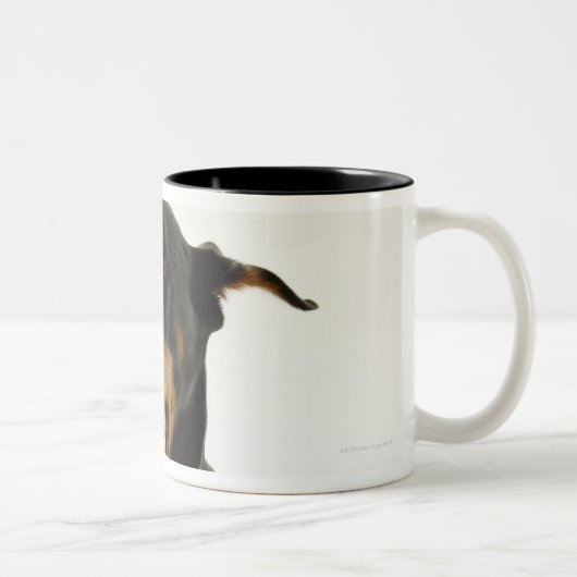 Doberman Pinscher 2 Tweekleurige Koffiemok (Rechts)