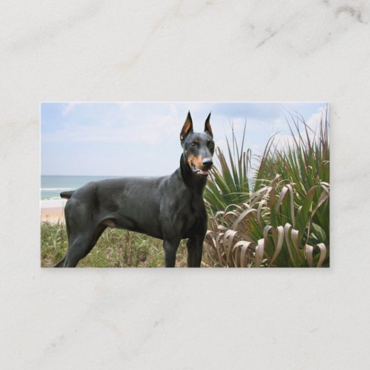 Doberman Pinscher Breeder Visitekaartje (Voorkant)