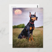 Doberman Pinscher Briefkaart (Voorkant / Achterkant)