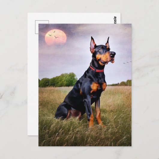 Doberman Pinscher Briefkaart (Voorkant / Achterkant)
