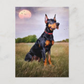 Doberman Pinscher Briefkaart (Voorkant)