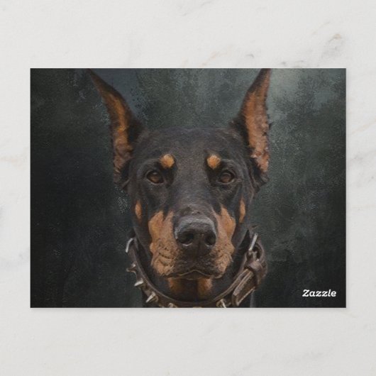 Doberman Pinscher Briefkaart (Achterkant)