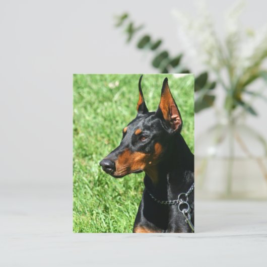 Doberman Pinscher briefkaart (Staand voorkant)