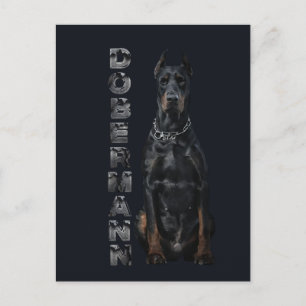 Doberman Pinscher Briefkaart