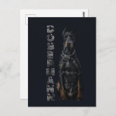 Doberman Pinscher Briefkaart (Voorkant / Achterkant)