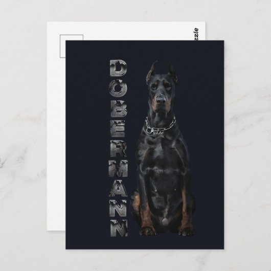 Doberman Pinscher Briefkaart (Voorkant / Achterkant)