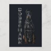 Doberman Pinscher Briefkaart (Voorkant)