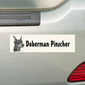 Doberman Pinscher Bumpersticker (Op auto)