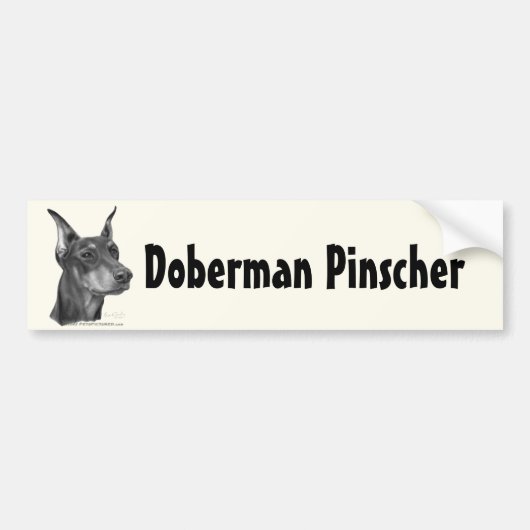 Doberman Pinscher Bumpersticker (Voorkant)