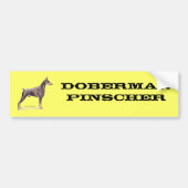 Doberman Pinscher Bumpersticker (Voorkant)