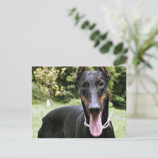Doberman Pinscher Dog Briefkaart (Staand voorkant)