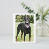 Doberman Pinscher Dog Briefkaart (Staand voorkant)