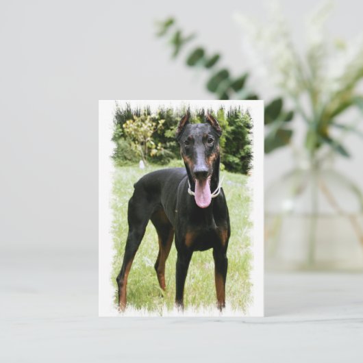 Doberman Pinscher Dog Briefkaart (Staand voorkant)