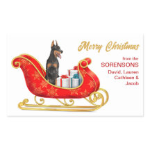 Doberman Pinscher Dog kerstkledij