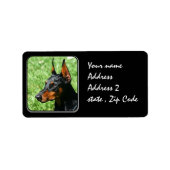 Doberman Pinscher Etiket (Voorkant)