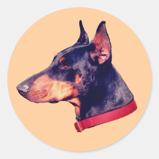 Doberman Pinscher Face Dog Ronde Sticker (Voorkant)