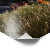 Doberman Pinscher Foto Afdruk (Hoek)