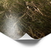 Doberman Pinscher Foto Afdruk (Hoek)