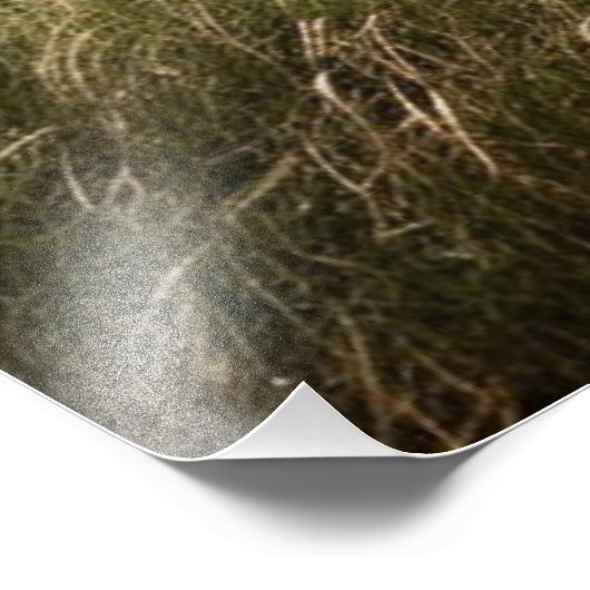 Doberman Pinscher Foto Afdruk (Hoek)