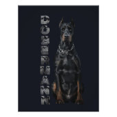 Doberman Pinscher Foto Afdruk (Voorkant)