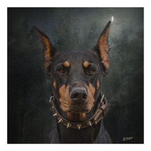 Doberman Pinscher Foto Afdruk