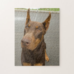 Doberman Pinscher Foto Jigzaag Puzzle Legpuzzel
