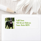 Doberman Pinscher Hond Retouradres Label (Insitu)