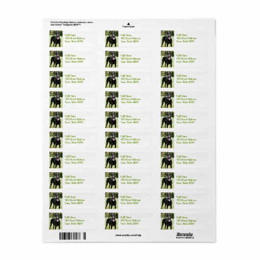 Doberman Pinscher Hond Retouradres Label (Full Sheet)