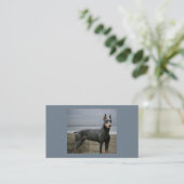 Doberman Pinscher Hondenliefhebber Visitekaartje (Staand voorkant)