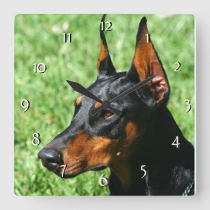Doberman Pinscher-hondklok Vierkante Klok
