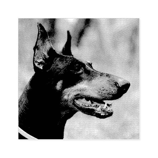 Doberman Pinscher in de Bossen Rubberstempel (Afrduk)