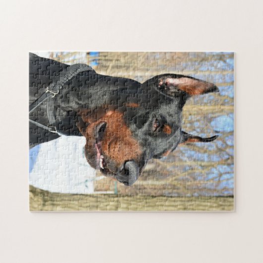 Doberman pinscher in de sneeuw legpuzzel (Horizontaal)