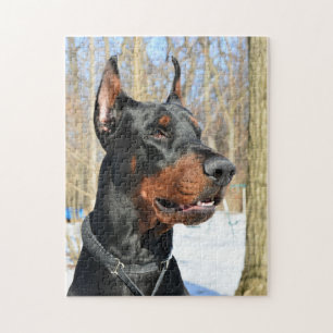 Doberman pinscher in de sneeuw legpuzzel
