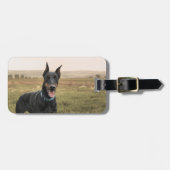 Doberman Pinscher in het veld Bagagelabel (Voorkant horizontaal)