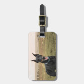 Doberman Pinscher in het veld Bagagelabel (Voorkant verticaal)