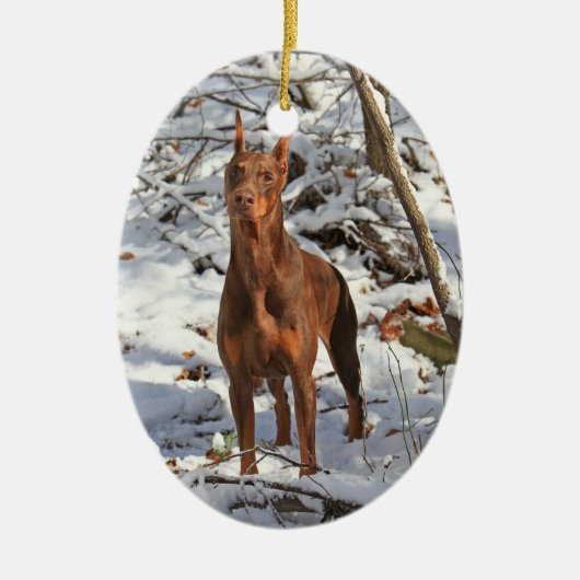Doberman Pinscher in Snow Ornament (Voorkant)