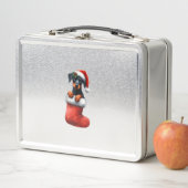 Doberman Pinscher in Sock-kerstkerstkerstkerstkers (In situ)