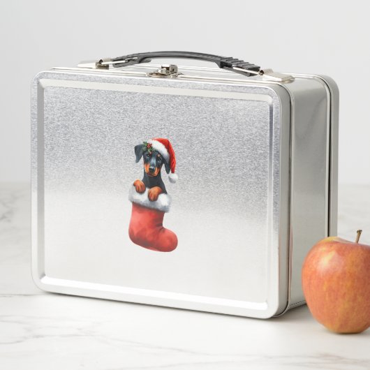 Doberman Pinscher in Sock-kerstkerstkerstkerstkers (In situ)