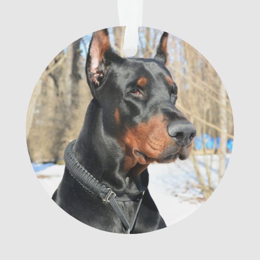 Doberman Pinscher-kerstspelnaam Ornament (achterkant)