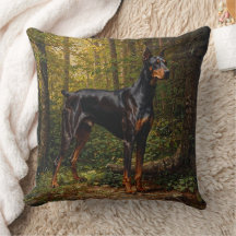 Doberman Pinscher